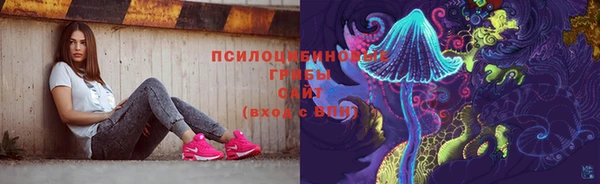2c-b Нягань