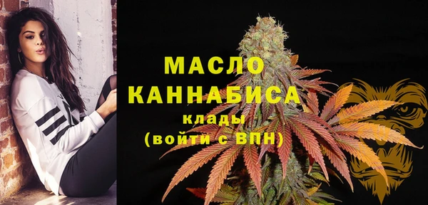 меф Няндома