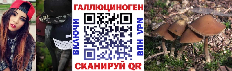 Галлюциногенные грибы GOLDEN TEACHER  Ливны 