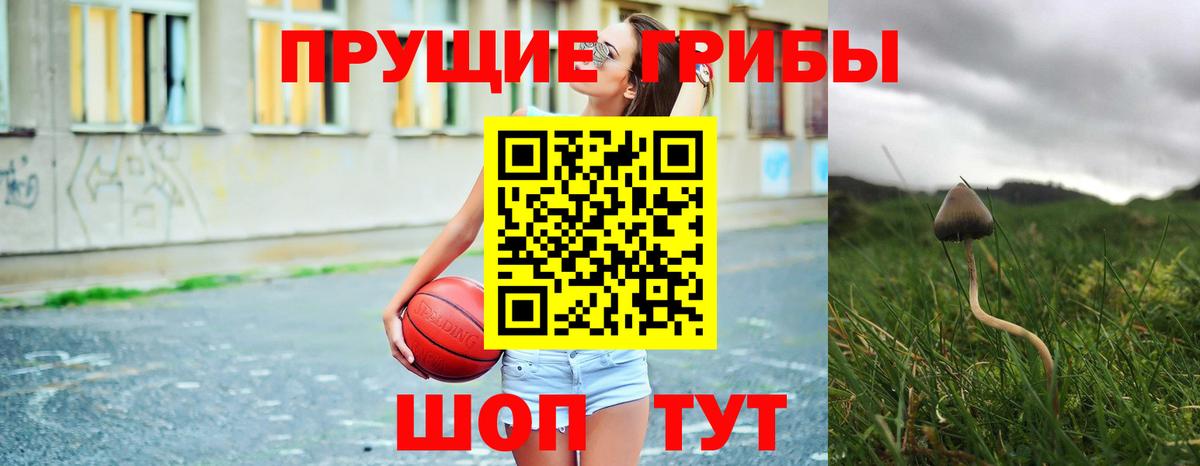 Псилоцибиновые грибы ЛСД Ливны
