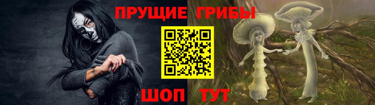 Псилоцибиновые грибы Psilocybine cubensis  купить наркотик  Ливны  Вход с VPN 